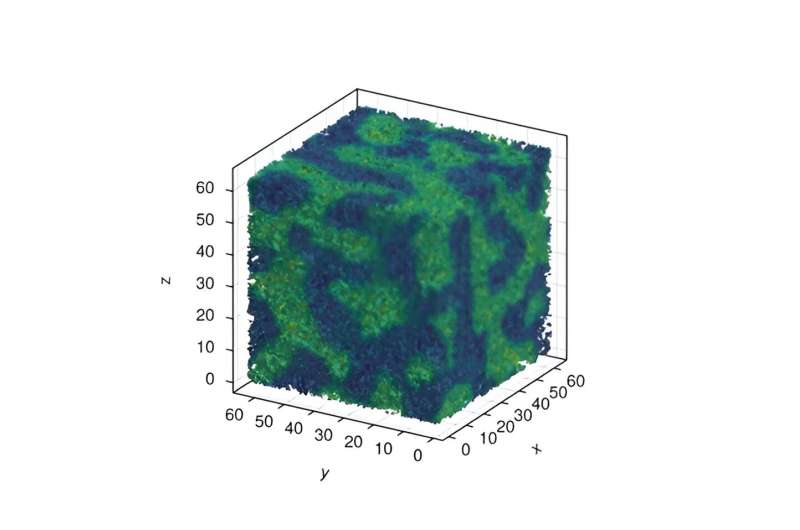 Simulating a critical point in quark gluon fluid