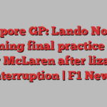 Singapore GP: Lando Norris in stunning final practice form for McLaren after lizard interruption | F1 News