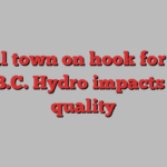 Small town on hook for $5M after B.C. Hydro impacts water quality