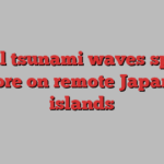 Small tsunami waves splash ashore on remote Japanese islands