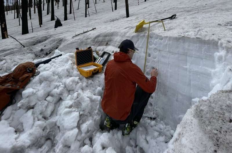 Location, location, location: Snowpack storage and runoff timing in burn scars depend on site and terrain