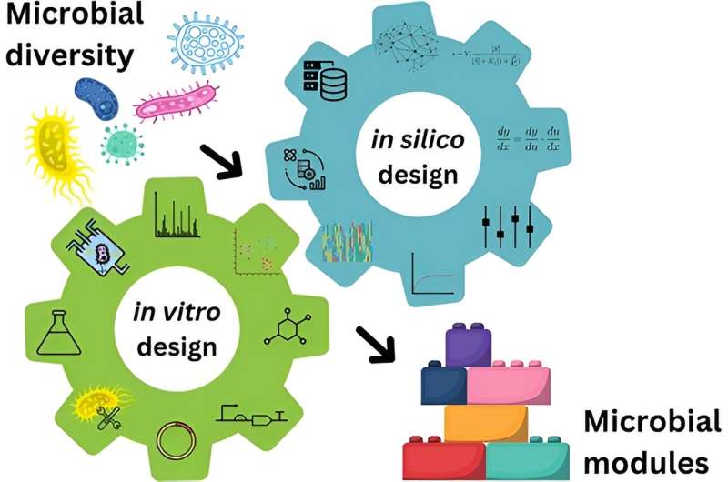 Tailored microbe communities