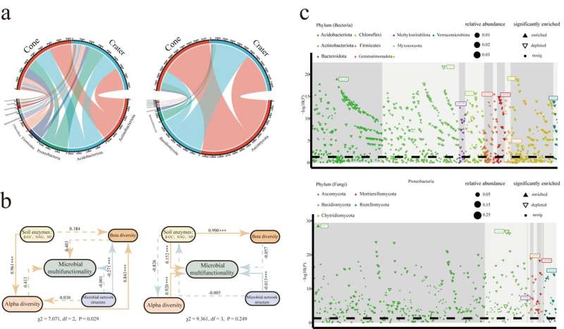 Characterization of microbial structure and function in the rhizosphere of Boehmeria nivea L.：A comparative study of volcanic cone and crater