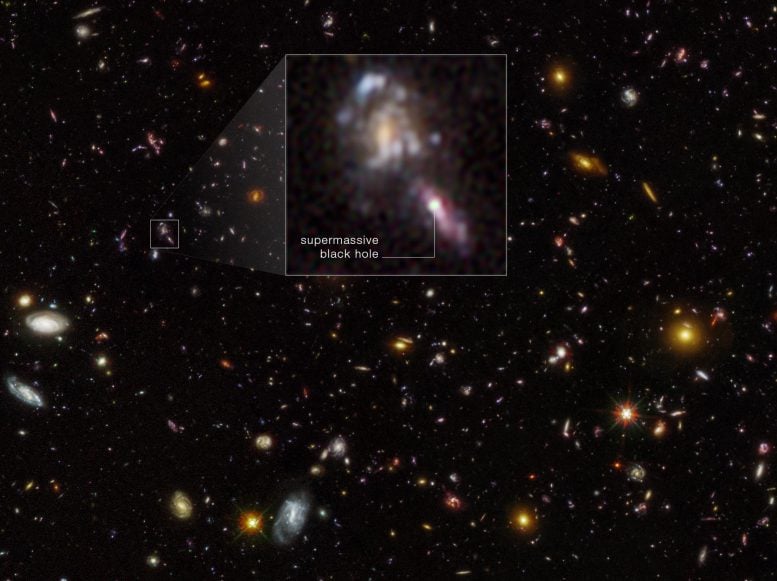 Supermassive Black Holes in Hubble Ultra Deep Field