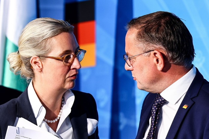 AfD co-leaders Alice Weidel, left, and Tino Chrupalla