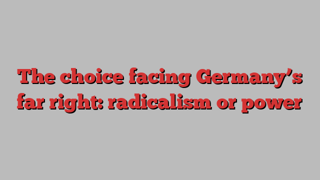 The choice facing Germany’s far right: radicalism or power