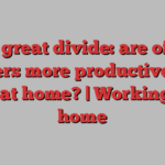 The great divide: are office workers more productive than those at home? | Working from home