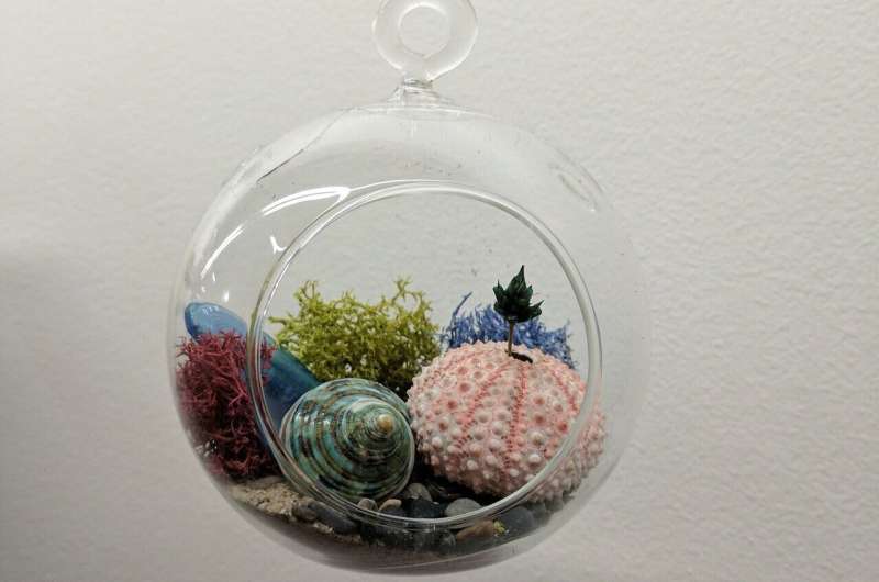 terrarium