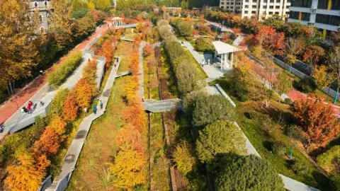 Elevated view of a very green area, a former riverbed, which is now filled with greenery with a few paths crossing it