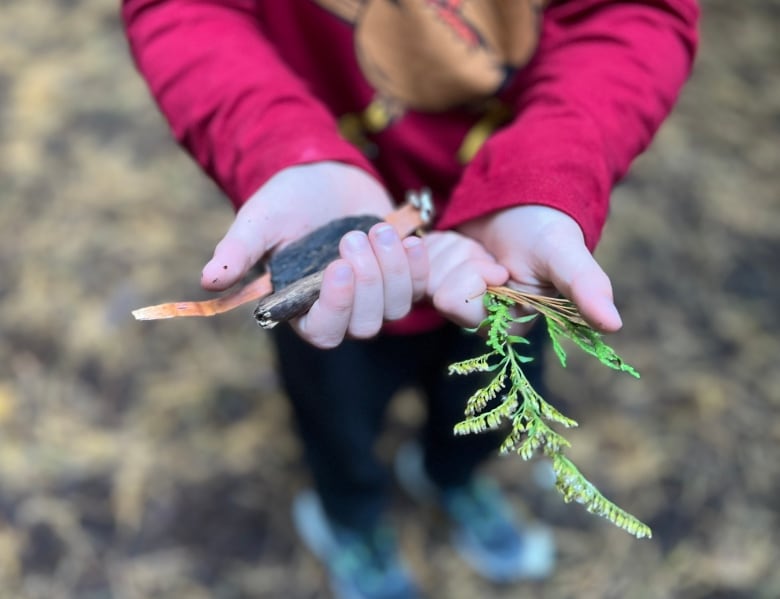 A close-up image of a child's hands holding a variety of organic material like sticks, strips of bark, pine needles and small plants, gathered from a forest setting. 