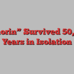 “Thorin” Survived 50,000 Years in Isolation