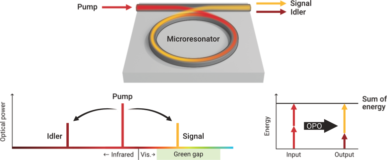 Infrared Laser Light Beamed Into Ring-Shaped Microresonator