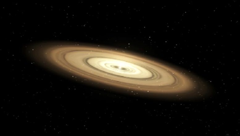 Protoplanetary Disk Computer Simulation