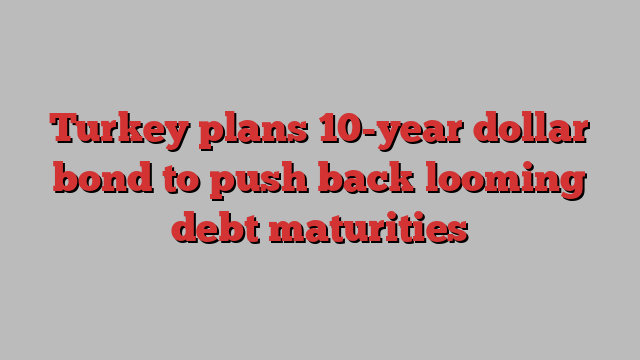 Turkey plans 10-year dollar bond to push back looming debt maturities