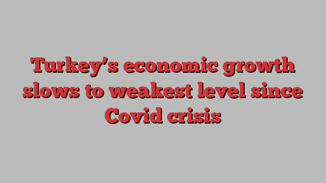 Turkey’s economic growth slows to weakest level since Covid crisis