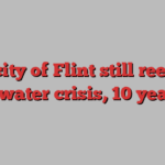 US city of Flint still reeling from water crisis, 10 years on