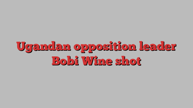 Ugandan opposition leader Bobi Wine shot