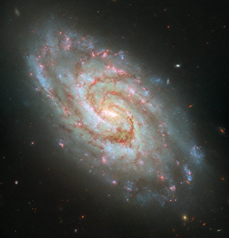 Spiral Galaxy IC 1954 Hubble