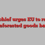 WTO chief urges EU to rethink deforested goods ban