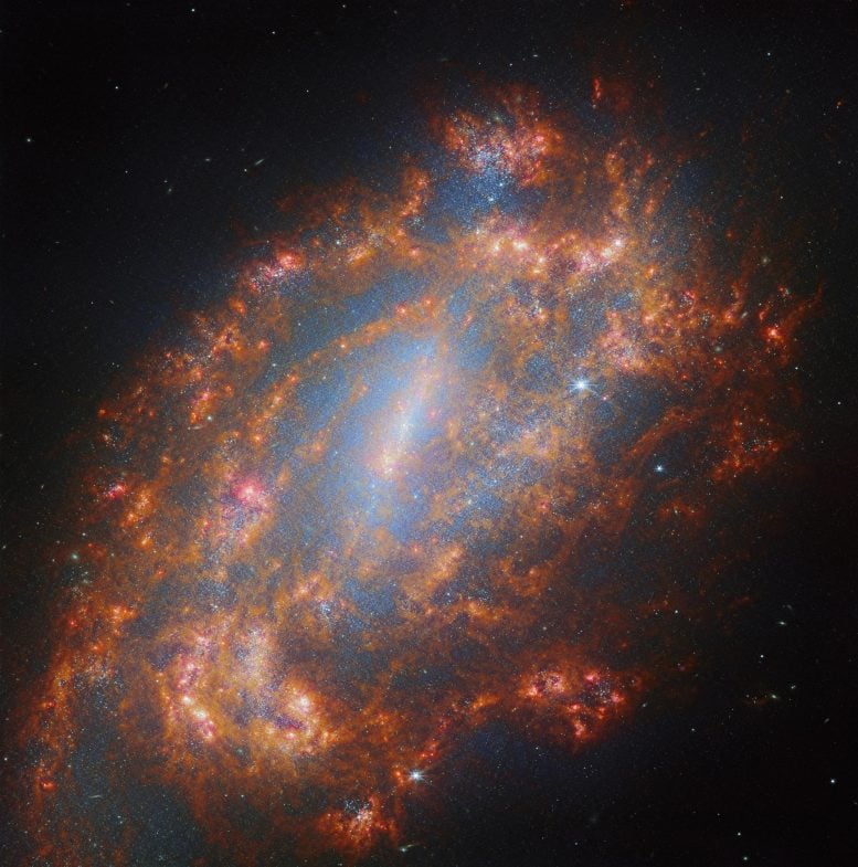 Galaxy NGC 1559 Webb