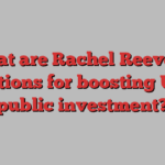 What are Rachel Reeves’s options for boosting UK public investment?