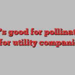 What’s good for pollinators is good for utility companies too