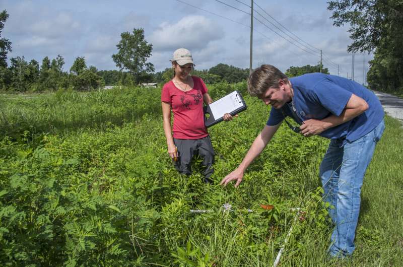 Maintaining an essential habitat: What's good for pollinators is good for utility companies too