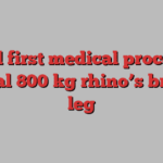 World first medical procedure to heal 800 kg rhino’s broken leg