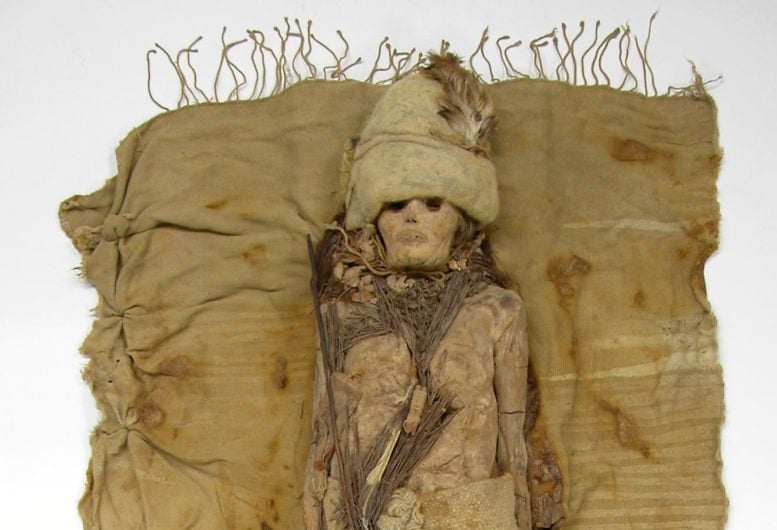 Tarim Mummy From Xiaohe Cemetery Crop