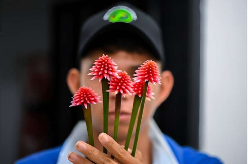 Colombia's Inirida flower has been chosen as the emblem of a UN biodiversity conference to be held in Cali from October 21 to November 1