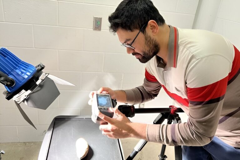 New imaging technique paves the way for simplified, low-cost agricultural quality assessment