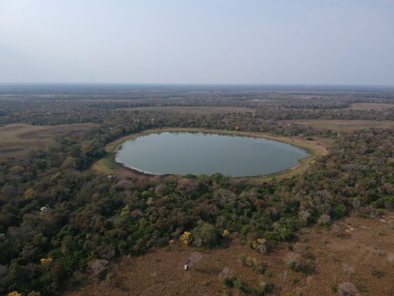 How emissions from Brazilian Pantanal’s soda lakes contribute to climate change