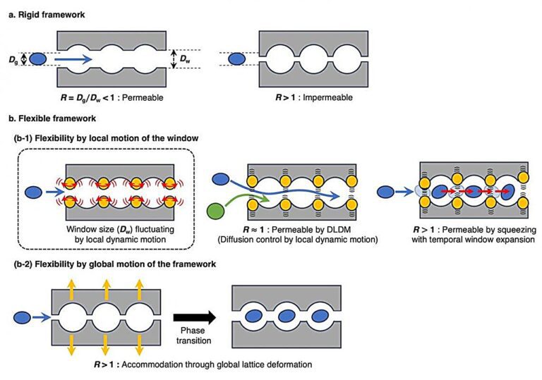 Porous gas-adsorbing materials reveal hidden softness