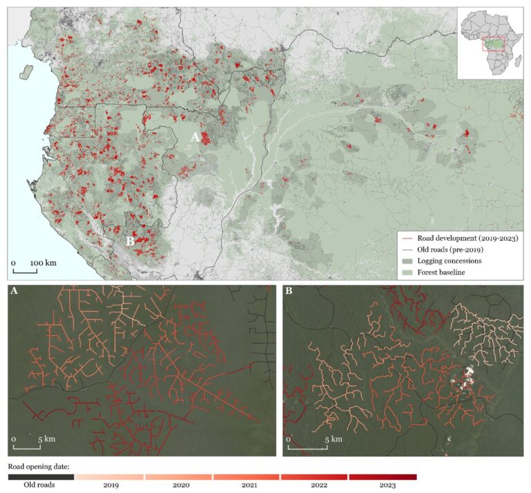 Satellites and AI help to monitor