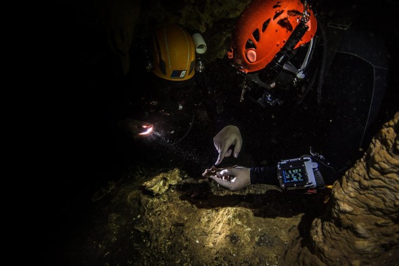 Searching for Monkey Fossils Dominican Cave