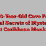 10,000-Year-Old Cave Fossils Reveal Secrets of Mysterious Lost Caribbean Monkeys