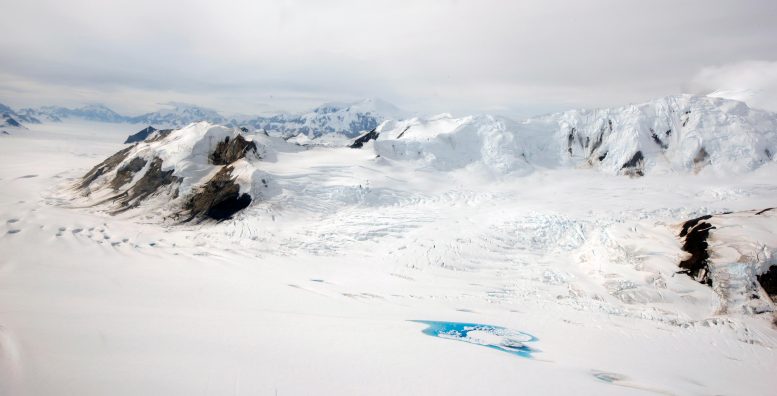 Icy Landscape in Canada