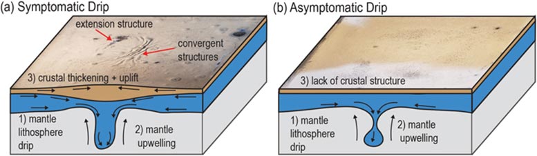 Artists Impression of Lithospheric Drip Types