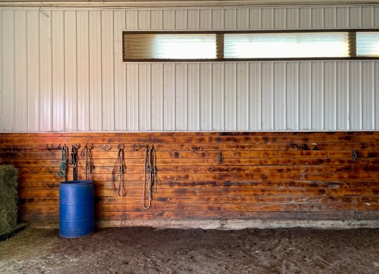 An image of the wooden wall of a barn, with horseshoes pegged into the wall. 