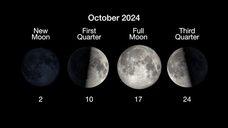 Moon Phases October 2024