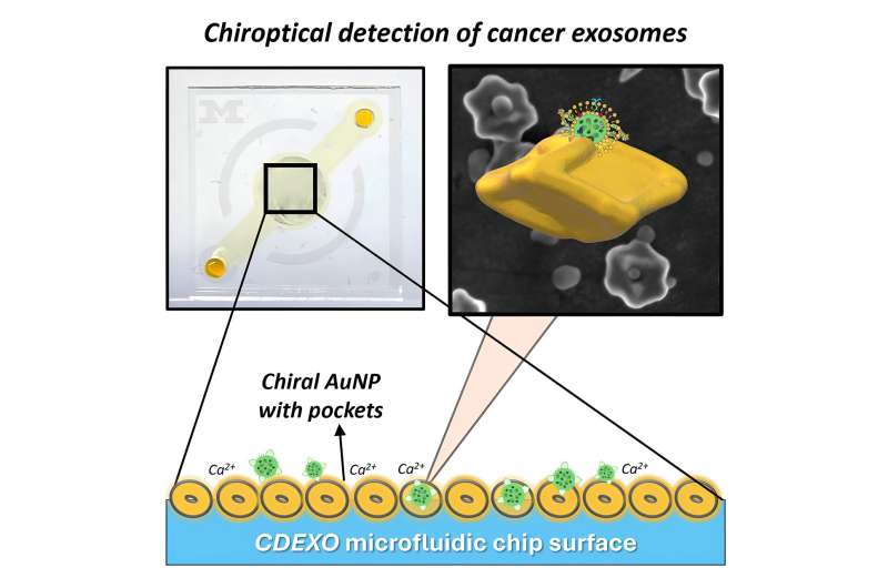 New microchip uses exosomes for faster, more sensitive lung cancer detection from a blood draw