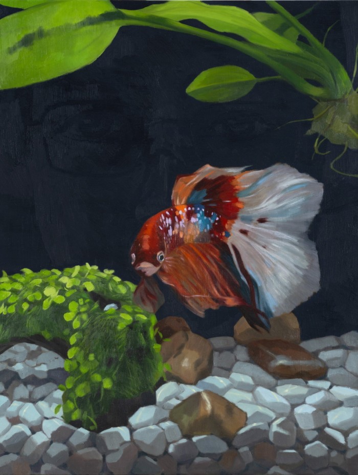 Painting of an exotic, colourful fish, amid the foliage and stones at the bottom of a fish tank