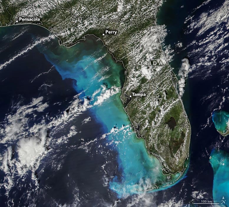 Florida September 29, 2024 Annotated