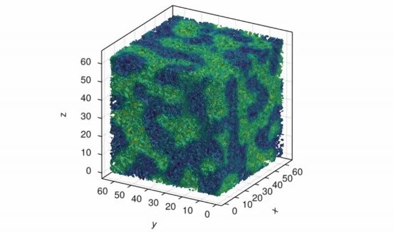 Fluctuating Quark Gluon Liquid