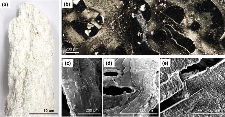 Hydrothermal Vent Precipitates