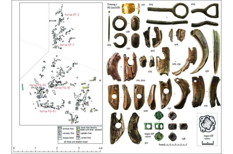 Sacrificial burial confirms Scythians’ eastern origins