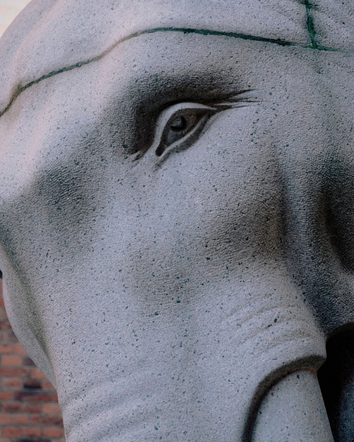 Close-up of the eye and trunk of one the four Carlsberg elephants