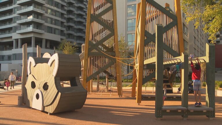 WATCH | Toronto has a new park — with a raccoon theme