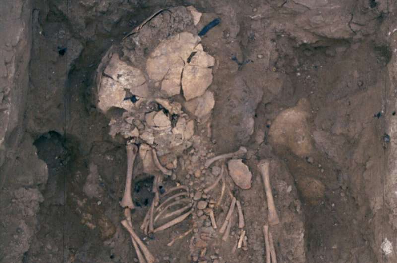 Microscopic study of milk teeth reveals mystery of death of Iberian culture newborns buried inside homes