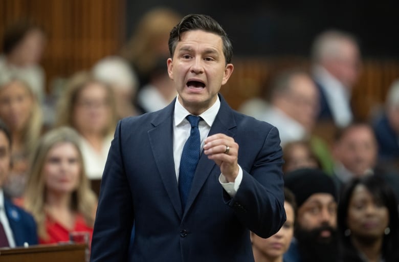 Conservative Leader Pierre Poilievre rises in the House of Commons during question period on Wednesday, September 25, 2024 in Ottawa.